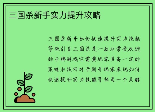 三国杀新手实力提升攻略